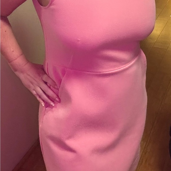 Ann Taylor LOFT Pink Midi Dress - Picture 6 of 8